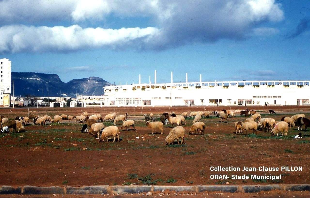 ORAN STADE2.jpg